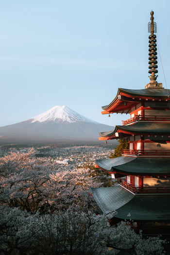 View of the iconic red Chureito Pagoda standing proudly over a sea of blossoming cherry trees with the majestic snow capped Mount Fuji in the backdrop Fujiyoshida Japan.