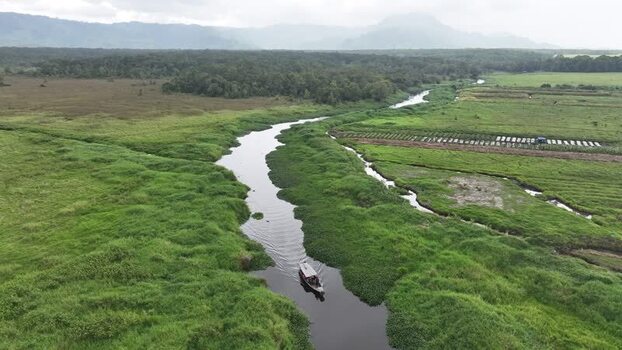 Aerial view of Rawa Bento wetlands in Gunung Tujuh Indonesia.