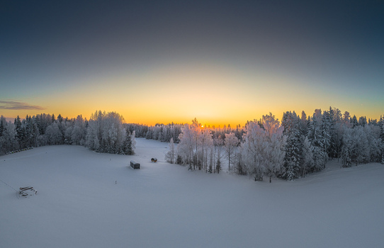 Aerial view of a snow covered field and frost covered trees during a golden sunrise in Latvia. Aerial view of a snow covered field and frost covered trees during a golden sunrise in Latvia.