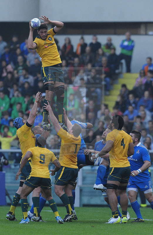 Cariparma Test Match 2013 - 09/11/2013 - Torino, Stadio Olimpico - Italia v Australia