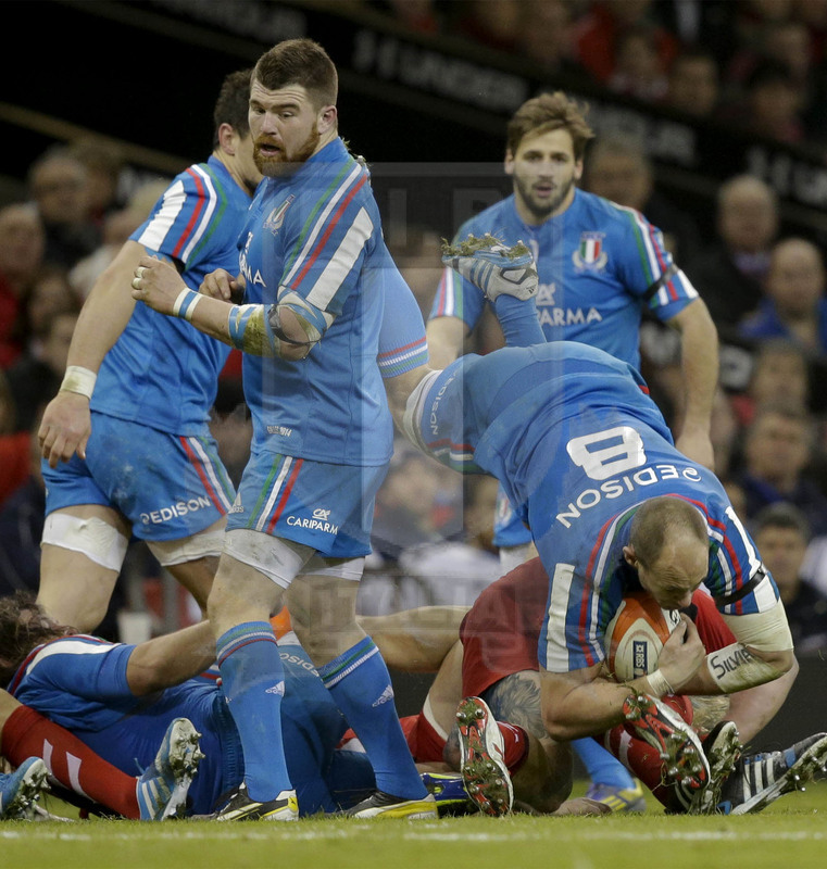 RBS 6 Nazioni 2014, Cardiff, Millennium Stadium, 1/02/2014, Galles v Italia. Sergio Parisse in tuffo Foto: Roberto Bregani
