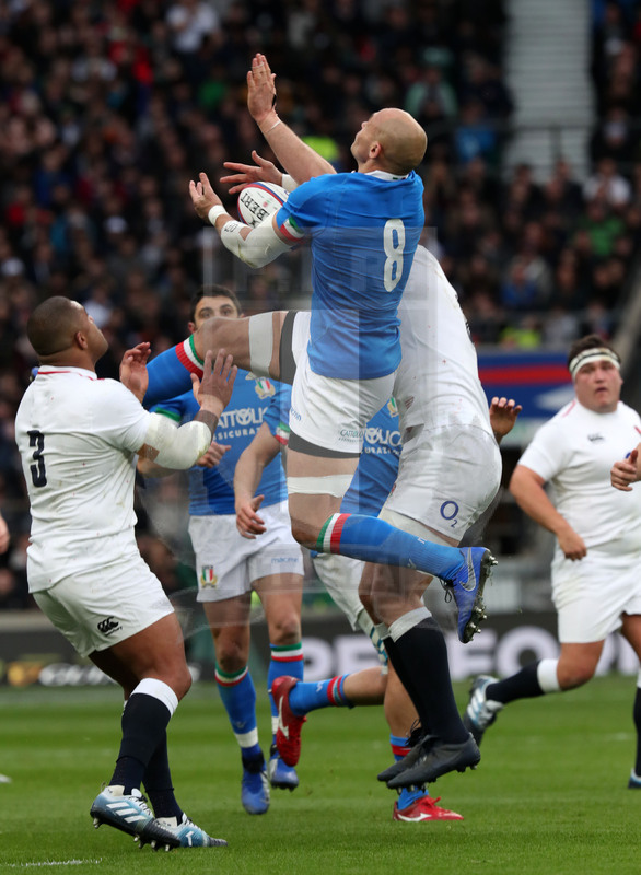 Guinness Sei Nazioni 2019, Round 4, Londra, Twickenham 09/03/2019, Inghilterra v Italia, Sergio Parisse su un pallone alto. Foto Daniele Resini/Fotosportit