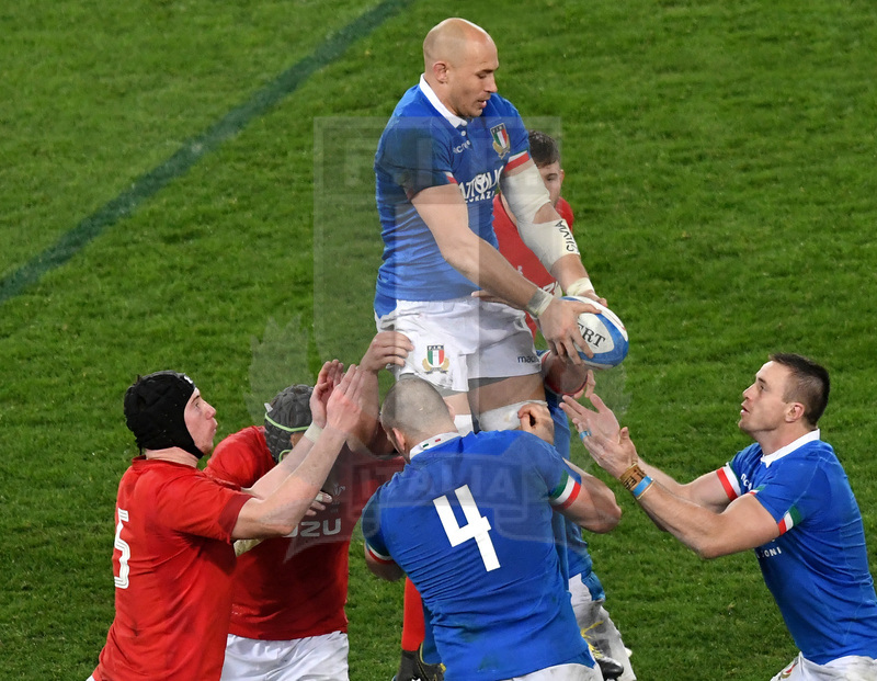 Guinness Sei Nazioni 2019, Round 2, Roma, Stadio Olimpico 09/02/2019, Italia v Galles, Sergio Parisse pconquista touche a due mani. Foto Andrea Staccioli / Resini / Insidefoto