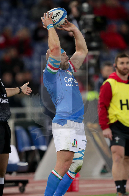 Guinness Sei Nazioni 2019, Round 2, Roma, Stadio Olimpico 09/02/2019, Italia v Galles, Leonardo Ghiraldini al lancio in touche. Foto Daniele Resini/Fotosportit