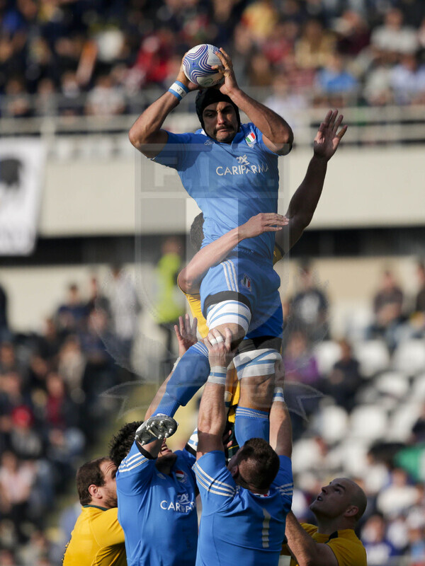 Cariparma Test Match 2013, Torino, Stadio Olimpico, 9-11-2013, Italia v Australia. Marco Bortolami in touche. Foto Roberto Bregani / Fotosportit