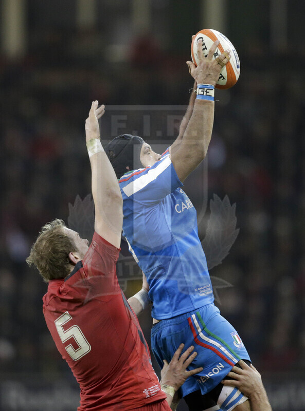 RBS 6 Nazioni 2014, Cardiff, Millennium Stadium, 1/02/2014, Galles v Italia. Marco Bortolami in touche Foto Roberto Bregani/Fotosportit