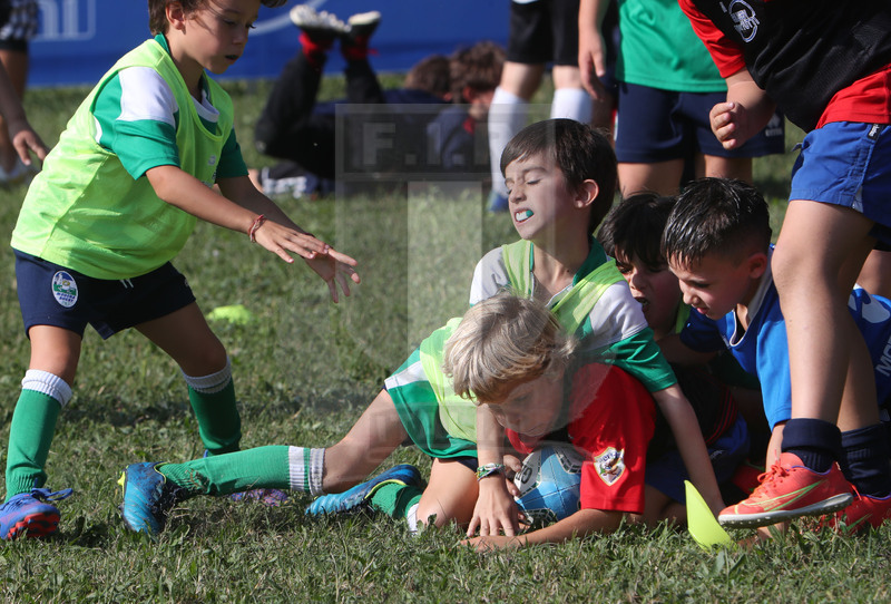 Eni rugby tour, feste del rugby 2022, Ravenna, parco Teodorico 16/10/2022,