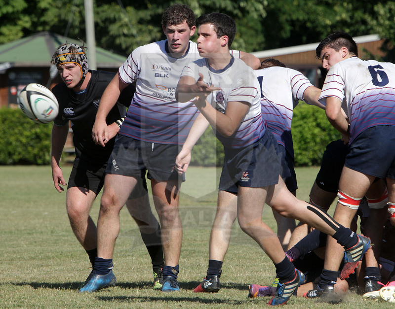 Campionato italiano U18, Prato, stadio Chersoni 11/06/2017, Finale Petrarca Padova v Capitolina, Fofo Daniele Resini/Fotosportit