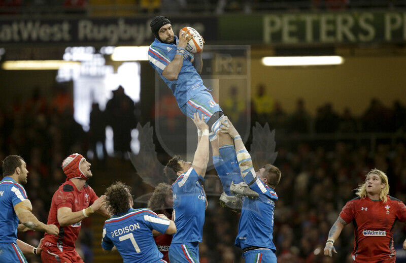 RBS 6 Nazioni 2014, Cardiff, Millennium Stadium, 1/02/2014, Galles v Italia. Marco Bortolami in touche Foto Roberto Bregani/Fotosportit