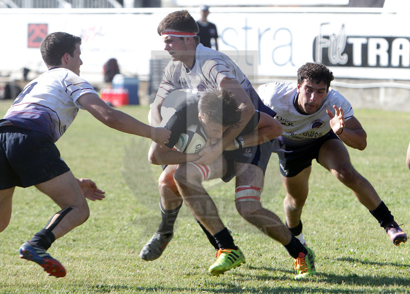 Campionato italiano U18, Prato, stadio Chersoni 11/06/2017, Finale Petrarca Padova v Capitolina, Fofo Daniele Resini/Fotosportit