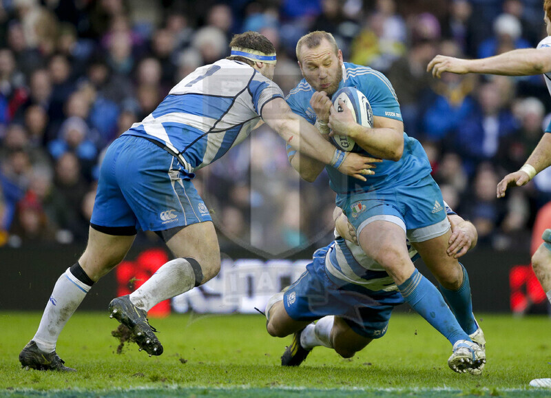 RBS 6 Nazioni 2013, Edimburgo, Murrayfield Stadium, 9-02-2013, Scozia v Italia. Una carica di Ghiraldini