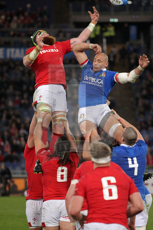 Guinness Sei Nazioni 2019, Round 2, Roma, Stadio Olimpico 09/02/2019, Italia v Galles, touche contesa fra Jack Ball e Parisse. Foto Daniele Resini/Fotosportit