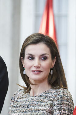 Spanish Royals Deliver the National Sports Awards 2015