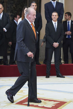 Spanish Royals Deliver the National Sports Awards 2015