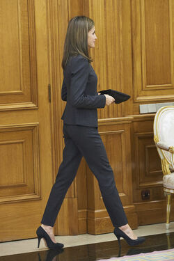 Spanish Royals Attend Audiences at Zarzuela Palace Madrid Spain