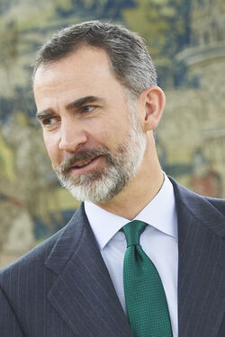 Spanish Royals Attend Audiences at Zarzuela Palace Madrid Spain