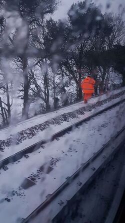 South West train from Waterloo to Weymouth has been stranded overnight 
