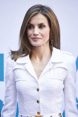 Queen Letizia attends A new Ibero American cooperation Seminar