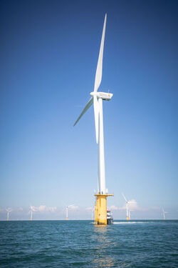 Emma Thompson welcomes offshore wind record low price Over 50 off in over 5 years