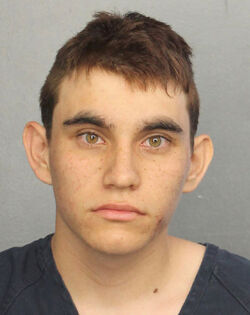 Parkland school shooter Nikolas Cruz is withdrawing his not guilty plea.