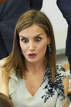 Queen Letizia of Spain Attends The Opening of 2015 2016 Scholarship Course in Almeria