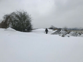 The Beast Of The East hits the UK.