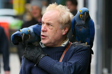 A man was seen with two blue parrots sitting on his shoulder while they walked down the streets of Soho London