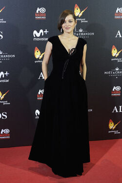 Pregnant Marion Cotillard leans in to speak to Brad Pitt as the pair promote their new film Allied in Madrid Spain