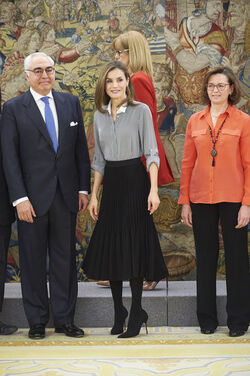 Queen Letizia attends audiences at Zarzuela Palace