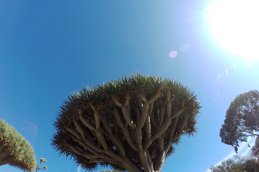 Cumbres del Ajusco National Park