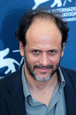 Register Luca Guadagnino at the 72nd Venice Film Festival