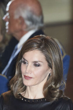 Spanish Royals attended the Francisco Cerecedo journalism awards Spanish Royals attended the Francisco Cerecedo journalism awards