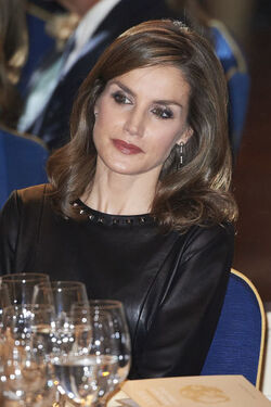 Spanish Royals attended the Francisco Cerecedo journalism awards Spanish Royals attended the Francisco Cerecedo journalism awards