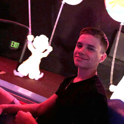 The Beckham s enjoy a family day at Disneyland.