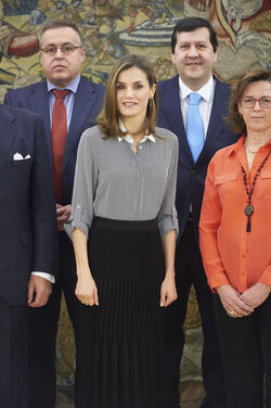 Queen Letizia attends audiences at Zarzuela Palace