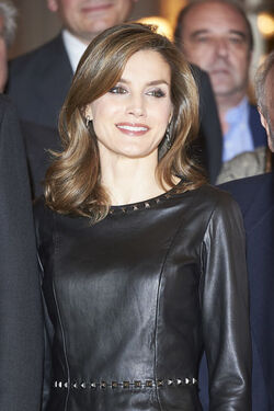 Spanish Royals attended the Francisco Cerecedo journalism awards Spanish Royals attended the Francisco Cerecedo journalism awards