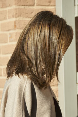 Queen Letizia attends a Meeting with the Board of FEDER