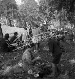 Fiera Campionaria di Vicenza 1946 Giardino Salvi