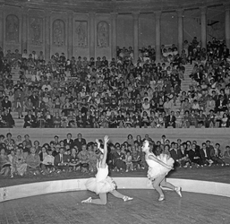 Scuola di danza Vanna Busolini Scuola di danza Vanna Busolini