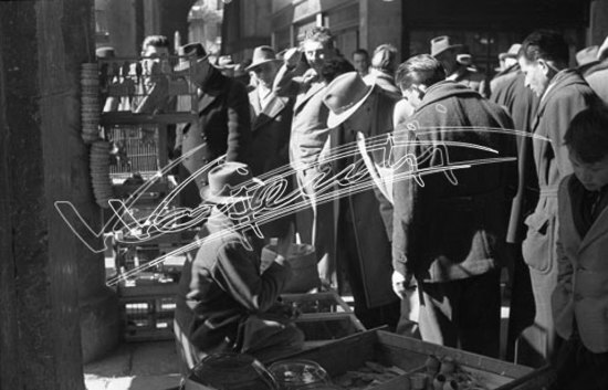 Piazza delle Erbe. pellicola - negativo bianco e nero fto mm 24X36