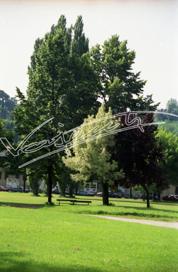 Campo Marzo. pellicola - negativo colore f.to mm 24x36