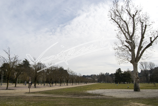 Campo Marzo. File digitale 28 MB
