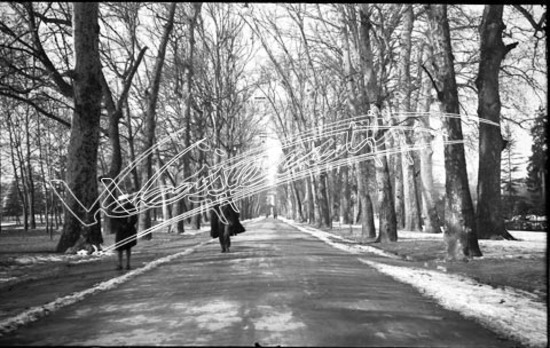 Vicenza : Campo Marzo. pellicola - negativo bianco e nero fto mm 60x90