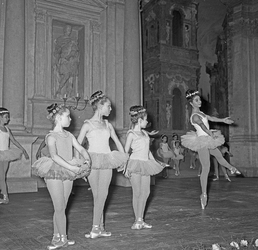 Scuola di danza Vanna Busolini Scuola di danza Vanna Busolini