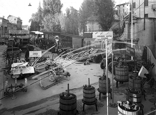 Fiera Campionaria di Vicenza 1949 : Consorzio Agrario di Vicenza. lastra di vetro - negativo bianco e nero fto mm 180x240
