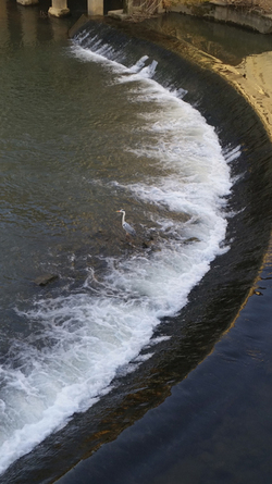 Fiume Bacchiglione Fiume Bacchiglione