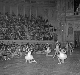 Scuola di danza Vanna Busolini Scuola di danza Vanna Busolini