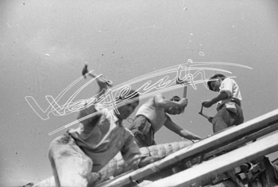 Basilica Palladiana : restauro 1947-1951. pellicola-negativo bianco e nero-24X36