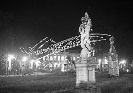 Fiera Campionaria di Vicenza 1946 : Giardino Salvi. pellicola - negativo bianco e nero fto mm 60X90