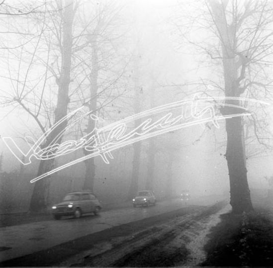 Campo Marzo. pellicola - negativo bianco e nero fto mm 60x60